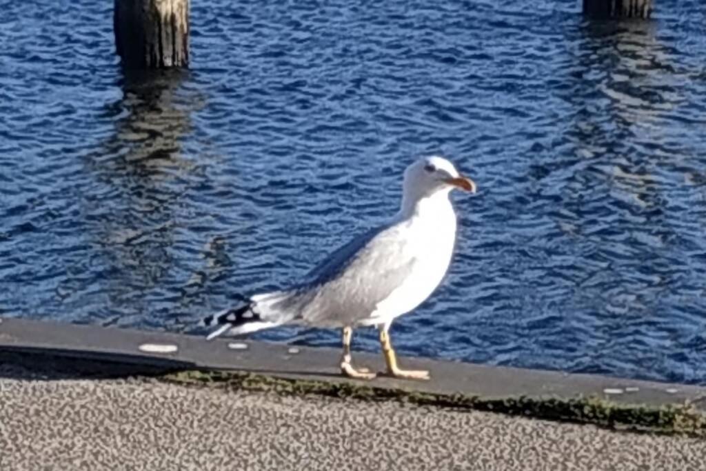 Traveloge Mit Schwimmbad Und Sauna Lübeck Exteriör bild